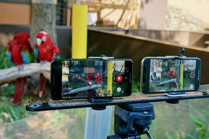 uPixel 3vƁuiPhone XSv̓搫\OrĂ݂܂