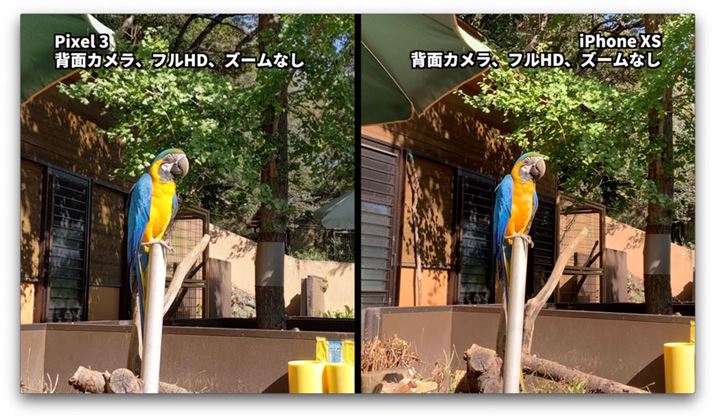 4K̏ꍇƔׂĖڗႢ͂܂ł