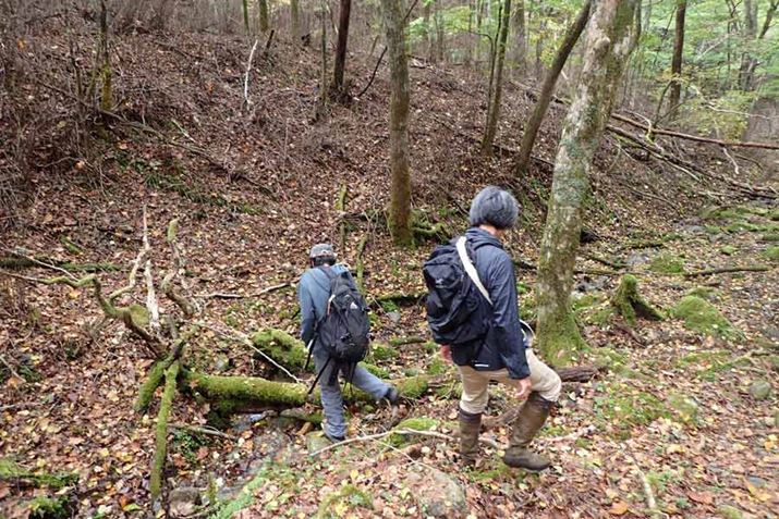 i͎Ro؂ȂǁAɃLmRƂړIΖTłoƂFl