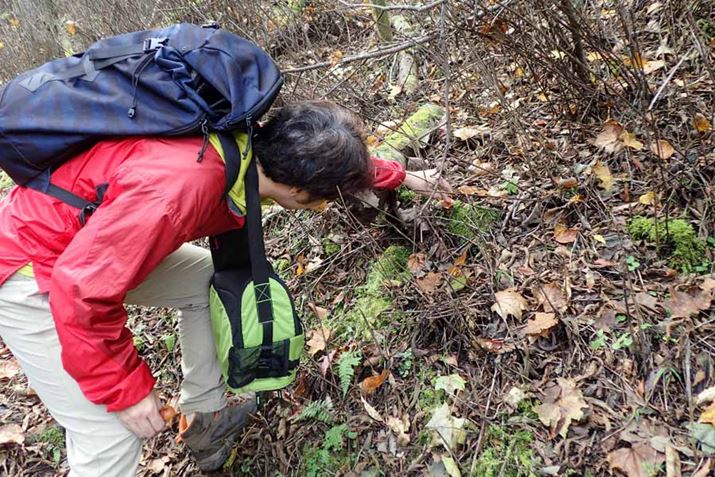 ͓oRCŎQBƂɂKȕ𒅂ĂAȂ񂾂M@݂ȔzFɂȂĂ