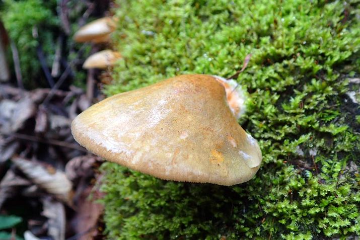 Ċώ@邾łŷɁAHׂĂȂčōȂł