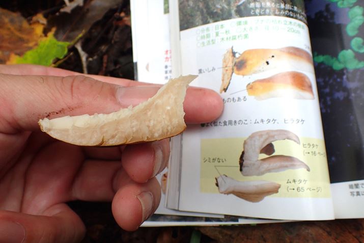 悭ŃLmR̃cL^Pł͂ȂƂfʂmF