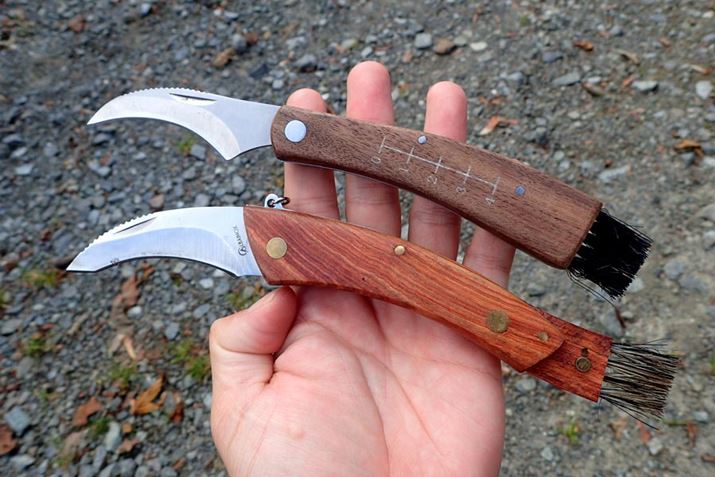 ۂ܂p̐nƁALmR̉𗎂ƂuVĂBȂ