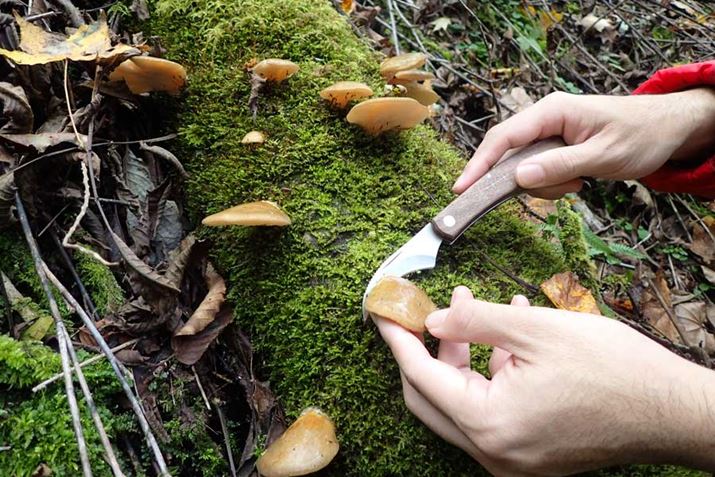 ÂcăJbgB̒iKŃS~≘ł邾ƂĂƁAAĂ̏yɂȂ