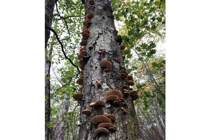 ͕ʂ̏ꏊło񂪎BĂ͂ꂵ؂̃L^PB悯ΑʂɔLmRȂ̂