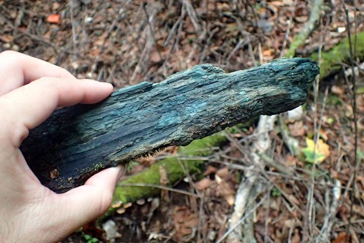 REł͒F؁BoɂƁA̓LmR̎dƂƂ̂