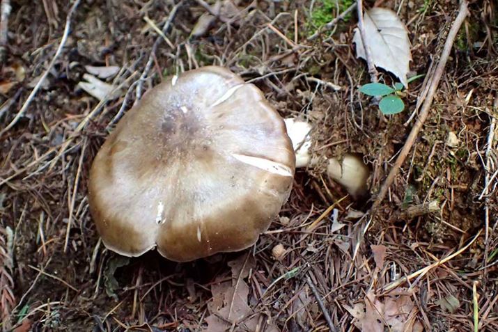 ̓ExjzeCVWBʐ^ƃNTExj^PƂ̈Ⴂ悭킩Ȃł