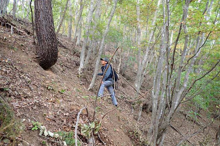 fWJ΂߂Ȃ̂ł͂ȂAnʂ΂߂Ȃ̂