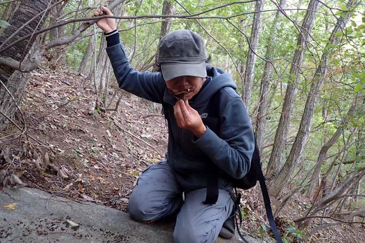 kĂAȂƂyĂݖɂׂi߁j݂ȋ肪