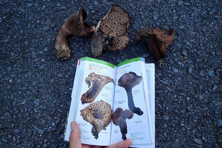 Eŏɍ̂LmRA2ԖځA^񒆂3Ԗ