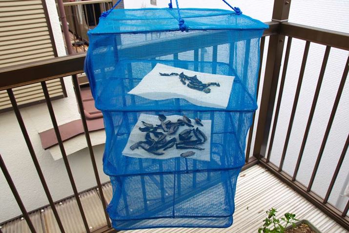 PEWۂ̂͏iARE^Pۂ̂͒iƕĊ