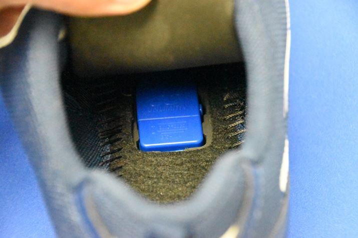 4cḿuZT[jbgv́A{̂̃C\[ɓĂ