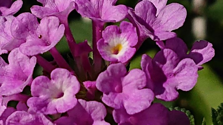 8{̃fW^Y[gĎBeB𑜋ZpgƂőeĂArILCɎBĂ