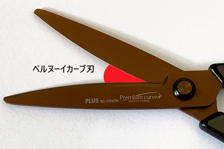 ̓Ɠ̃J[uAtBbgJbgJ[u̐؂ꖡ̂悳𐶂ݏo܂