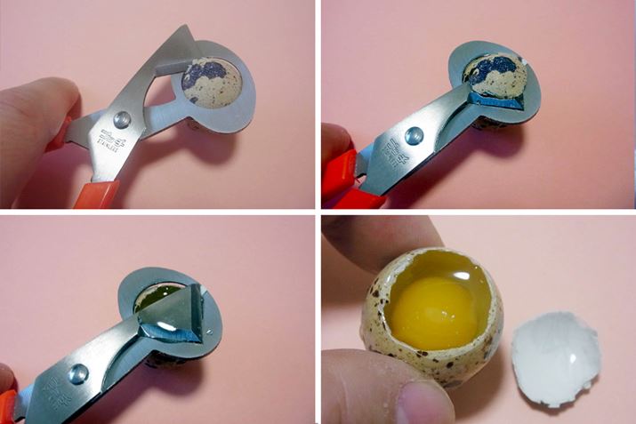 ̗̑قɃnT~̃OԂăJbgƁAkꂢɃJbgł܂