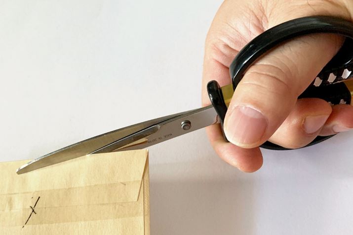 Ȑ`n͑Ώەƈ݁Ag؂ʁh𔭊BX[YȐ؂ꖡ܂