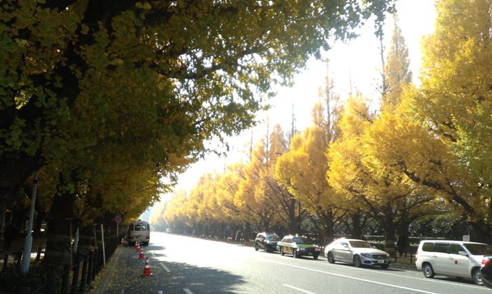 x͋tCŎBeB󂪊SɔgrĂقAtAđSʂɂڂ₯