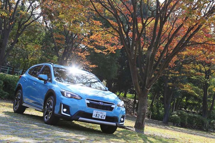 XõnCubhVXeue-BOXERvڂꂽuXV Advancev