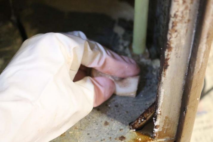 ~X|WłėƂ܂Bǂ̂炢LCɂȂ̂͂̂ق