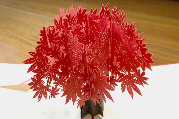 |bvAbv݂̖؂͔ɐɉHĂ܂Bꂾł\łcc