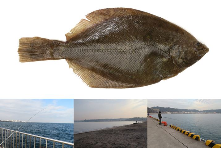 T[thAނȂǂŋCyɃgCłAHׂĂJC̒ނObY`FbNI