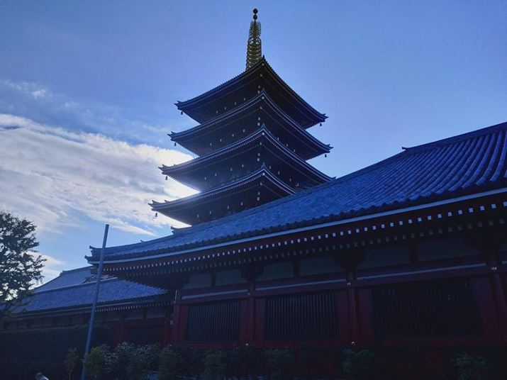 ċtsŎBeBHDRȂ苭͂ɌĂ悤ŁẢA̕NɎʂĂ