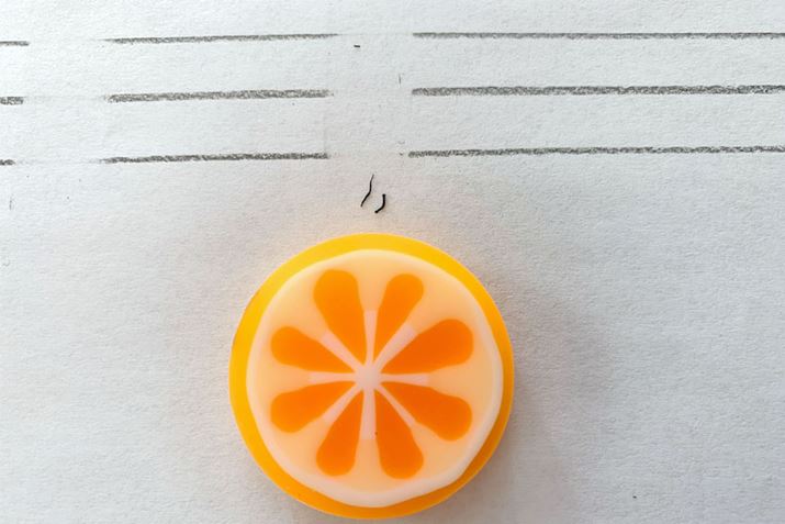 ͂d߂łAv̂قLCɏ܂BJXɒ[ɏȂł