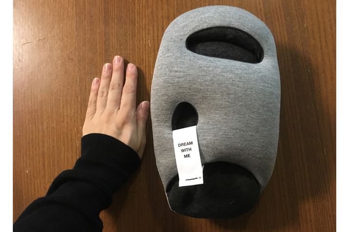 jƂ`̃NbVŁA傫炢̃TCYłI