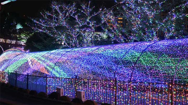 Si͂ȊBɕ܂glłi݂胉hHPj