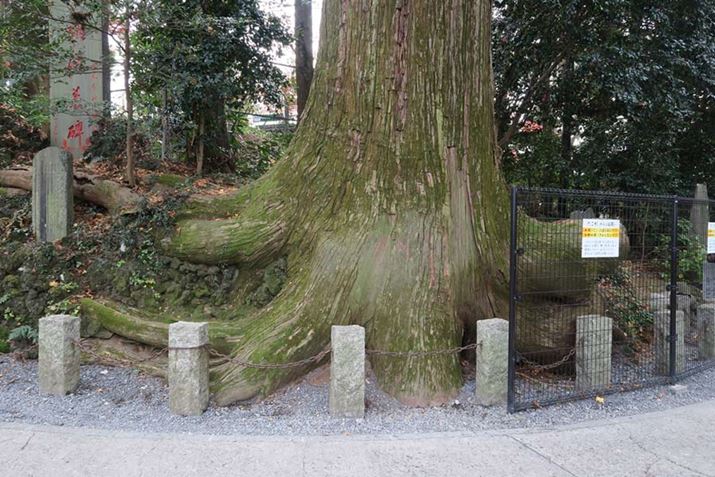 uvB^Ȓ݂Ȍ`ɂȂĂ鐙