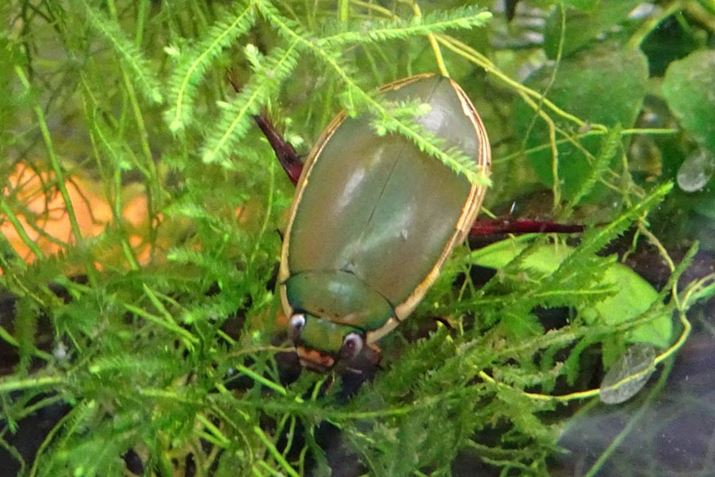 M҂炷RK^mQSEB̒CɉjĂ܂