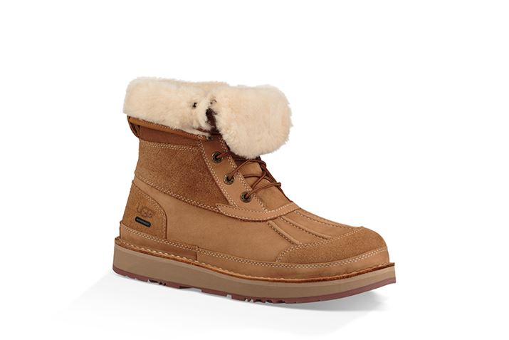 [_Eă[go΁AJWAu[ĉ悤Ȍڂ