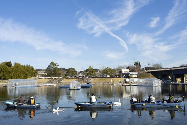 {[gނ̗lqBɂẮAjł邱Ƃ