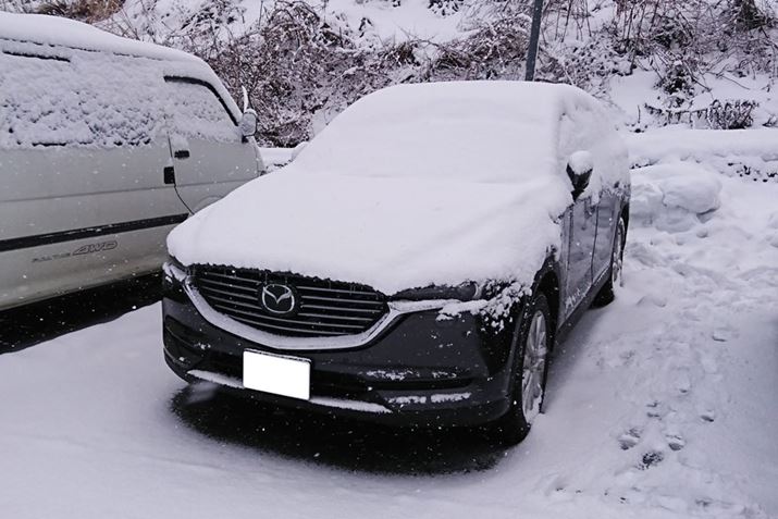 [ԌAɃXL[ւƂނÃ}c_uCX-8vBs킸200kmŁAłɐ܂݂