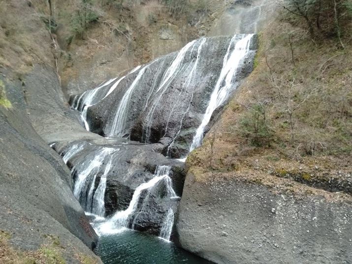 ܓVőBeBR̉ł͂ꂢȎBes