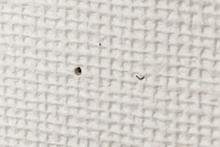 Ă݂ƁAȃsՂc邾BČƂقƂǋCtȂxł