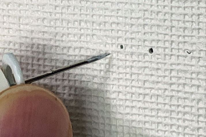 ˋN܂Ŏhɐ[hƕʂɌJ܂