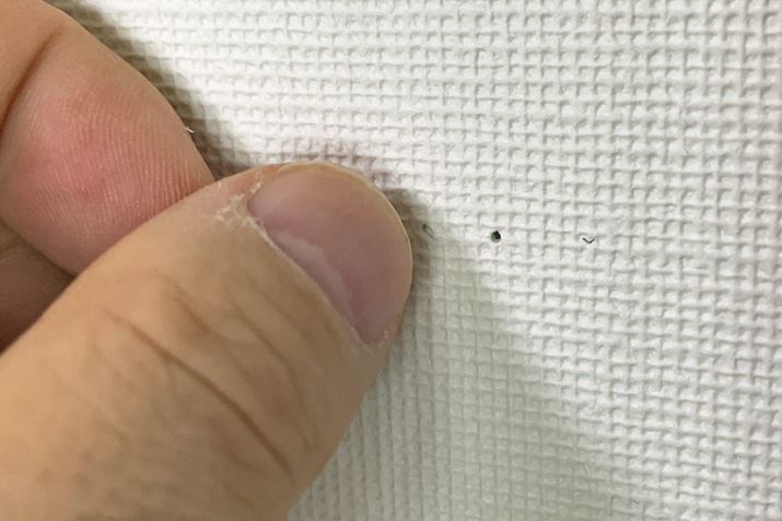 x͓ˋN܂ŎhŔ܂B̓NX܂ŕɂȂ炷̂|Cg