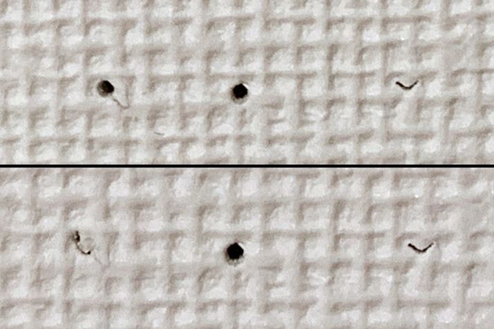 [ŊJijƁAˋN܂Ŏh񂾌ijׂĂ݂ƁAႢ͗Rł