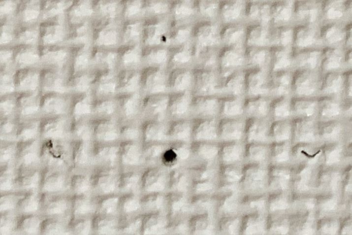 ̑傫炩ɏłˁBΌ݂̑ɂ͂قƂǋCtȂł傤