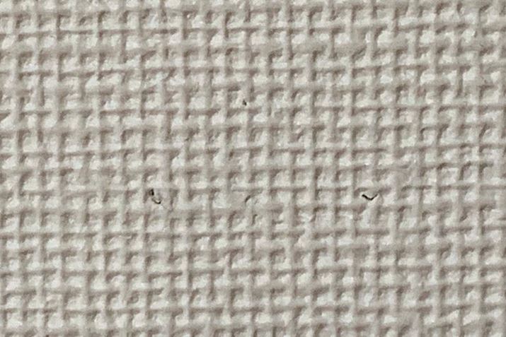 ͂AꂢɕCł܂BȂ\ł傤