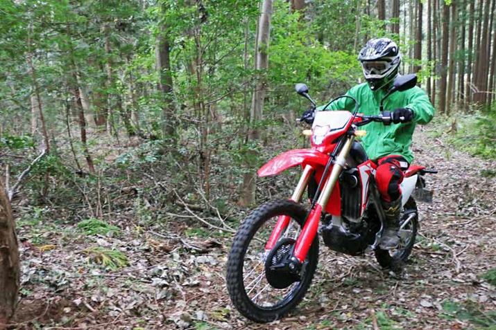 ���X�O���b�v�̈����o���ł���������g���N�V�������Ă����̂ŁA���N�ɓo���Ă������Ƃ��ł���