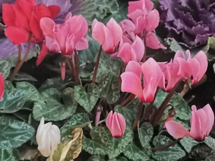 w3{JŁuiv[hgẢԒdBeBƂ͎vȂNŎʂĂ