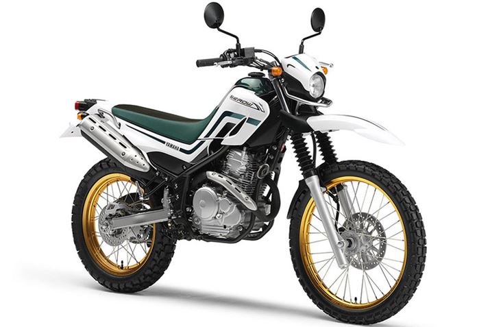 2005NɔꂽuZ[250v͔rCʂAbvƂƂɁAOς傫C[Wς