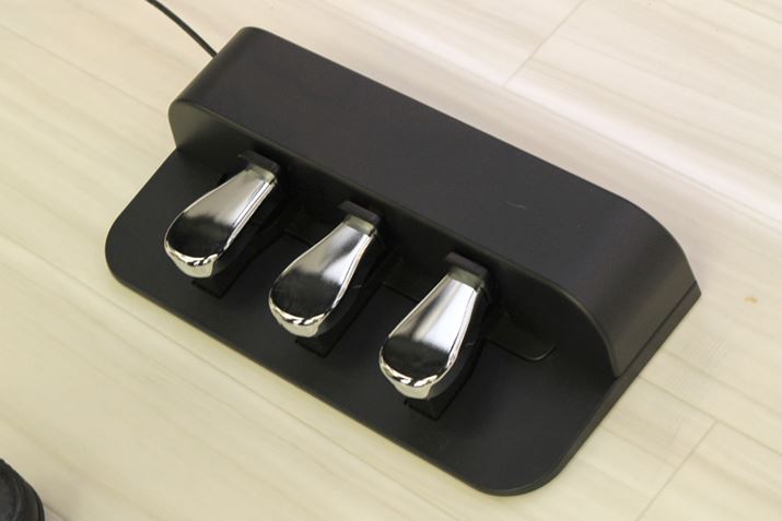 Ȃ݂ɁAWŕt̂̓_p[y_A3{y_IvVŗp