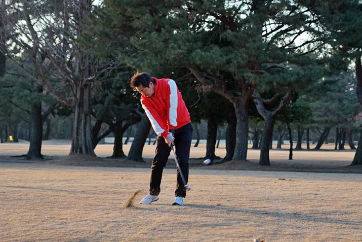 Ŋ́Aêd߂̊Głs͊FBsVbƋC悭łĂ܂I