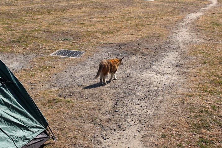 uႠlԂ炢łˁvƂłȕ\ŋĂL