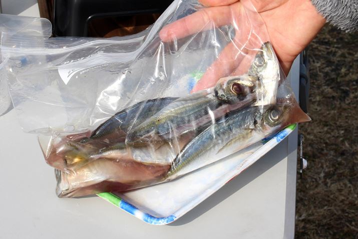 Wbvt̑܂10̉200ccAɃAW30قǒЂ