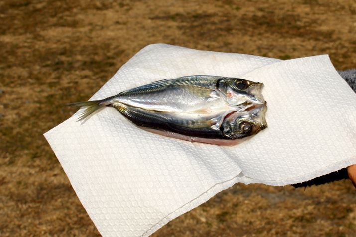 OɂƐ@邱ƂAZԂŊdグ|Cg