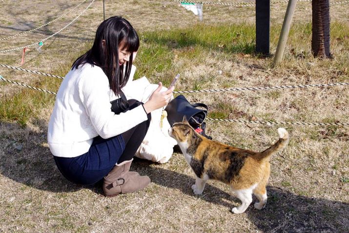 ͎̏BeWŗĂSҏŴ邳ł